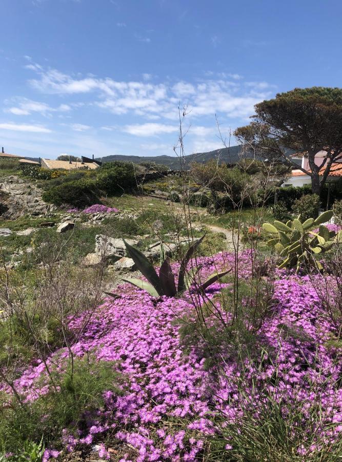 Beachfront Duplex With Terrace And Sea Views - Cadaques Bagian luar foto
