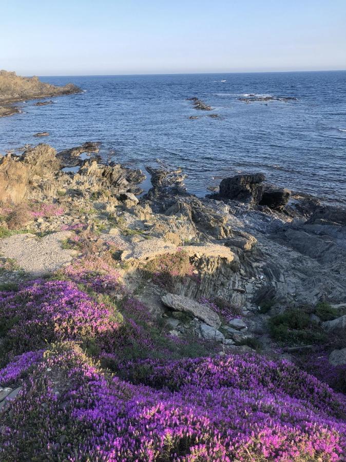 Beachfront Duplex With Terrace And Sea Views - Cadaques Bagian luar foto